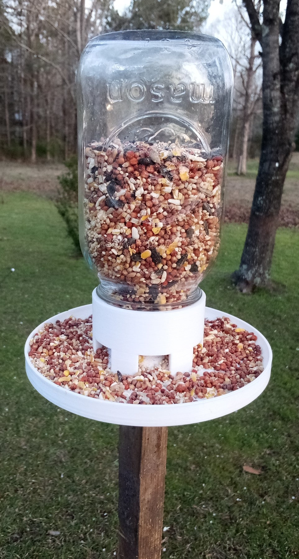 Fågelmatare att fästa på ett mason jar-glas, klar att använda