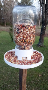 Fågelmatare att fästa på ett mason jar-glas, klar att använda