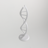 Dubbelhelix DNA-modell – kräver inga stöd
