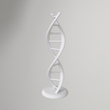 Dubbelhelix DNA-modell – kräver inga stöd