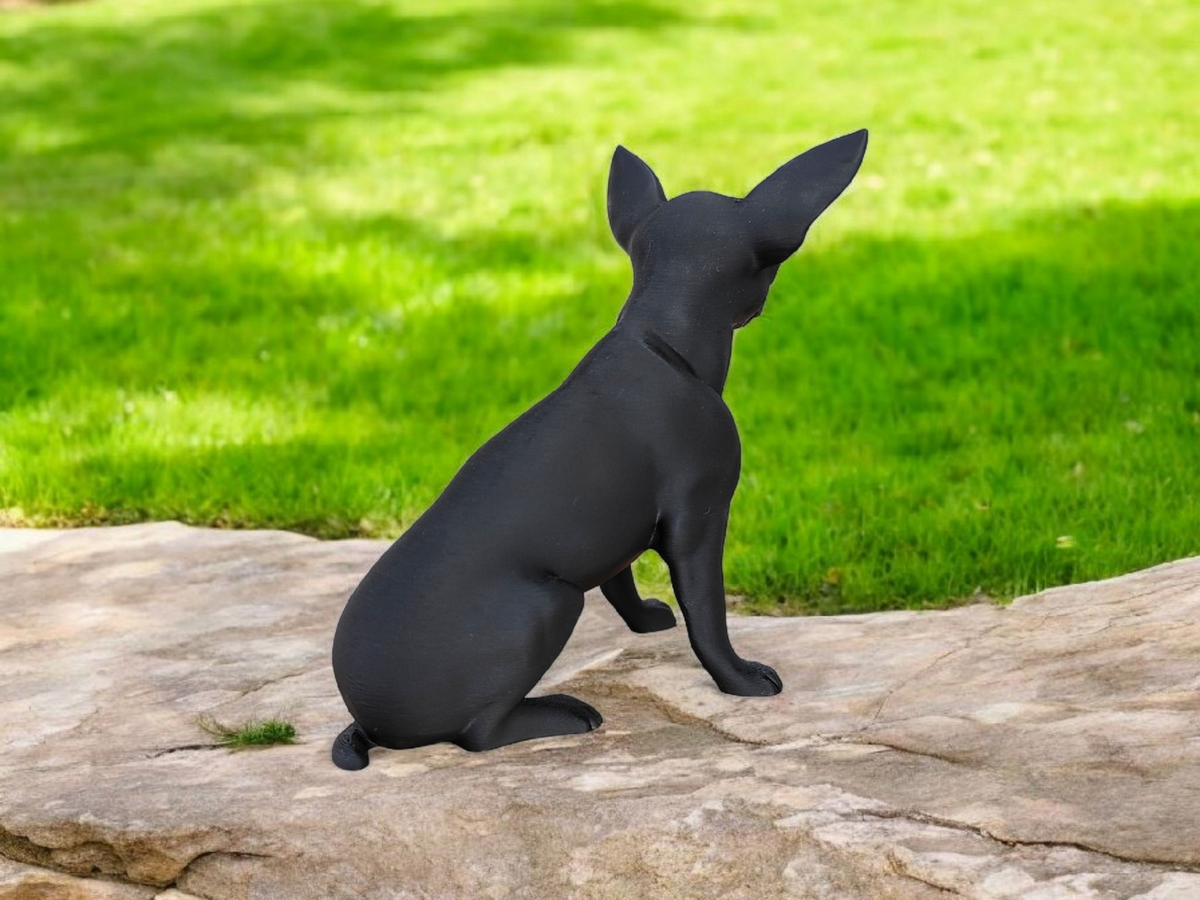 Detalj av chihuahuastatyns yta och form
