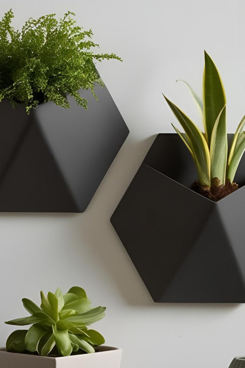 Närbild av en minimalistisk stealth-väggkruka med suckulent, från sidan