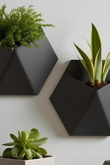 Närbild av en minimalistisk stealth-väggkruka med suckulent, från sidan