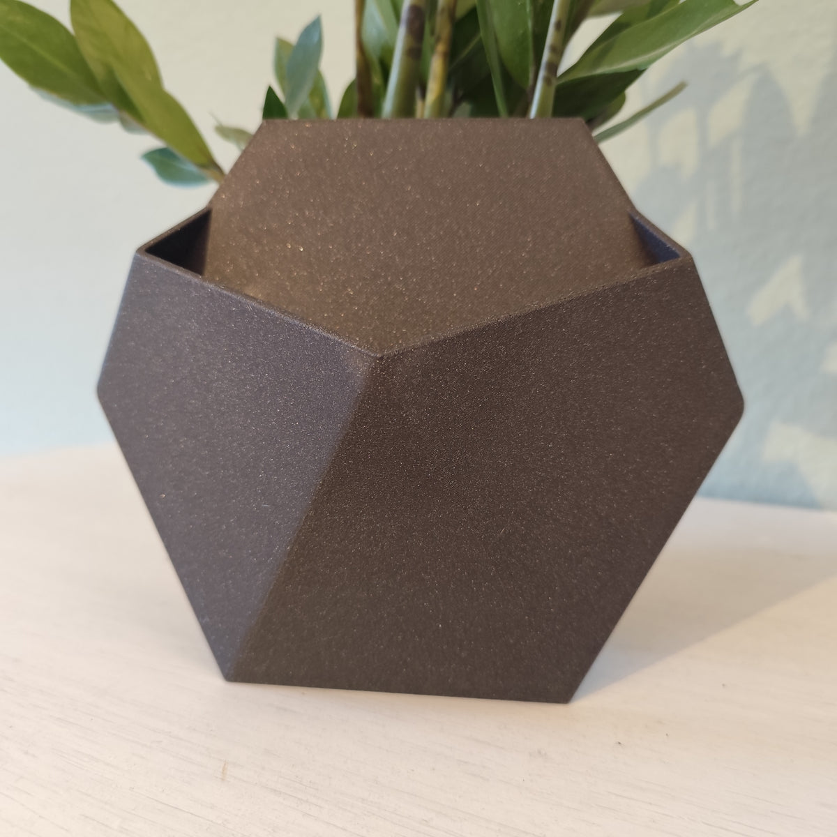 Närbild av en minimalistisk stealth-väggkruka med suckulent, från sidan