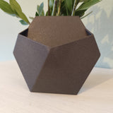 Närbild av en minimalistisk stealth-väggkruka med suckulent, från sidan