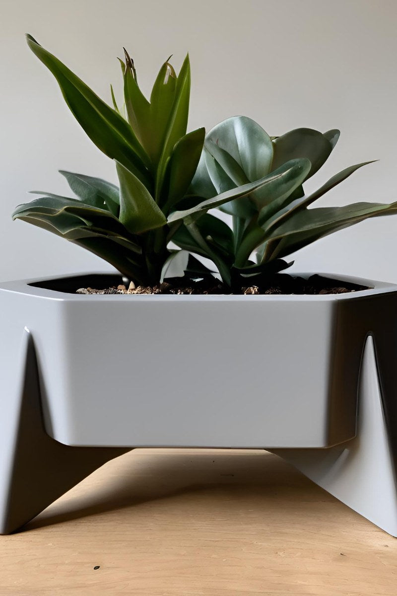Sexkantig kruka med geometrisk form, närbild