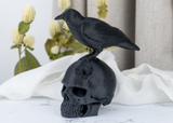 Skulptur av en korpskalle på en mörk trähylla med ljus och torkade växter