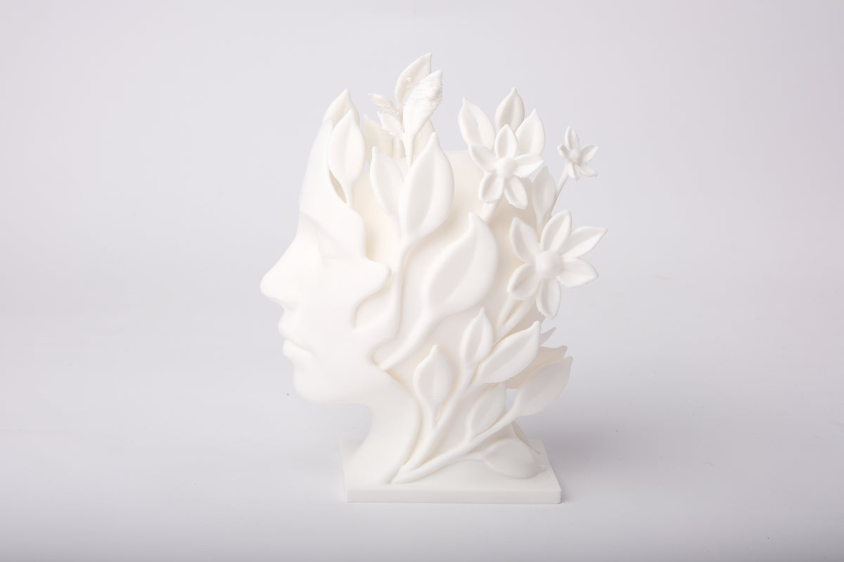 Nature Muse – botanisk ansiktsskulptur på en minimalistisk hylla med keramik och torkade stjälkar