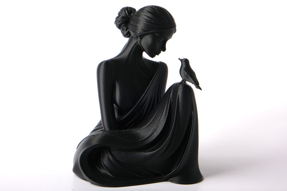 Bird Whisperer-kvinnoskulptur på en trähylla med torkade växter