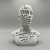 Fractured Elegance – människoskulptur på minimalistisk hylla i dämpade toner