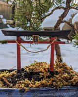Inari torii-port för bonsai – 8 cm miniatyr