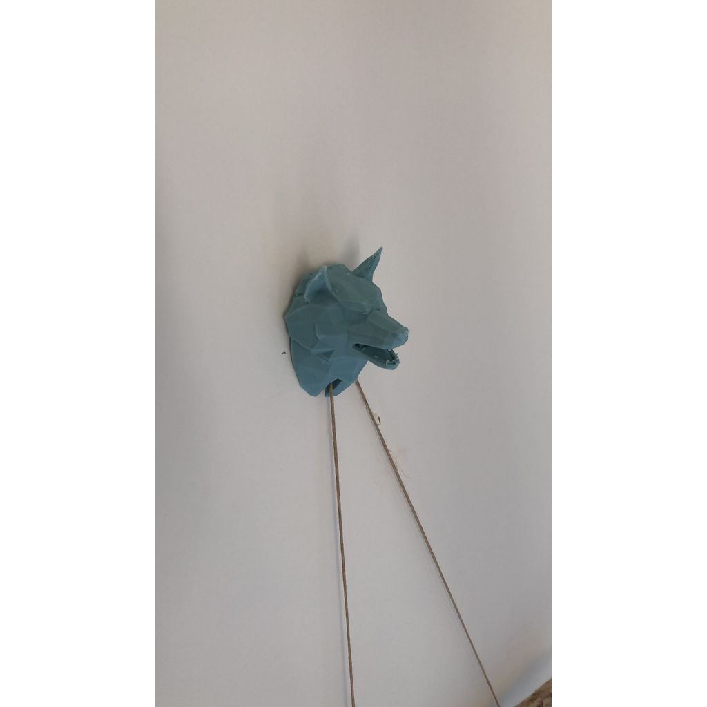 Vargbyst som skydd för väggkrok med urtag för tråd